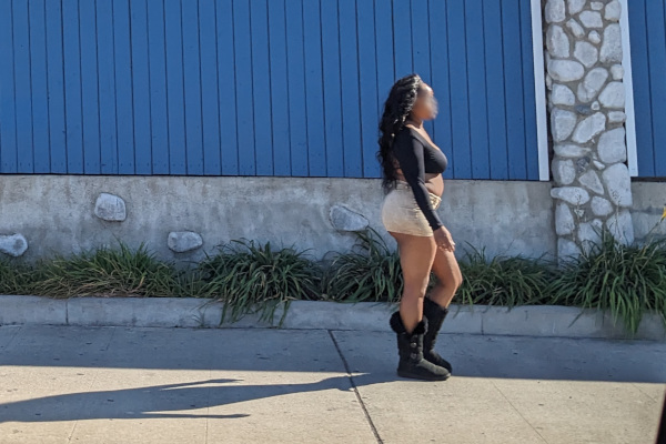 legal sex workers