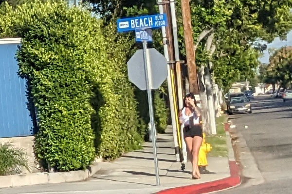Prostitution in California
